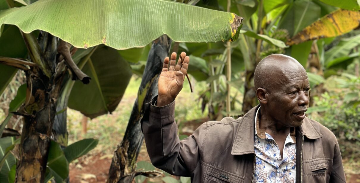 Taking Stock:Bethel Network`s Food Security Program in Maragua