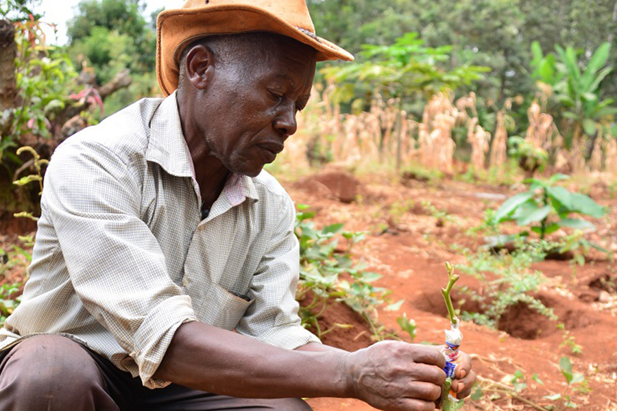 Entrepreneurship & Economic Empowerment Impact